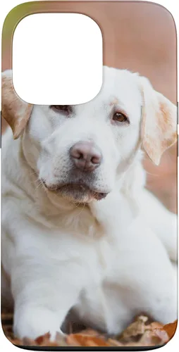 Vista 10 de Labrador Retriever Dog Lover - Carcasa para iPhone 17