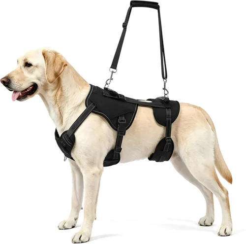 Vista 9 de NOYAL Arnés de elevación para perros para mascotas mayores y lesionadas – Soporte de cuerpo completo con malla transpirable, ayuda de pierna