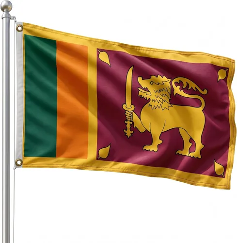 Vista 148 de DMSE - Bandera nacional beninesa beninesa de la República de África Occidental, 2 x 3 pies, 100 % poliéster, 100 % poliéster, resistente a los rayos