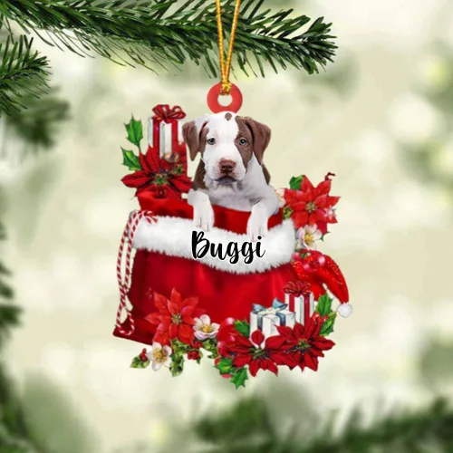 Vista 148 de Perro Akita Inu personalizado en bolsa de regalo, adorno de Navidad, nombre personalizado, regalo para amantes de los perros, familia, Navidad