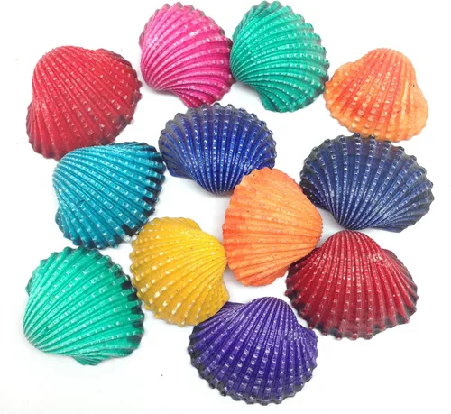 Vista 16 de PEPPERLONELY Conchas marinas teñidas de colores surtidos, 5 onzas, tamaño 1/4 pulgada