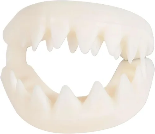 Vista 2 de Rhode Island Novelty Grandes dientes de tiburón blanco