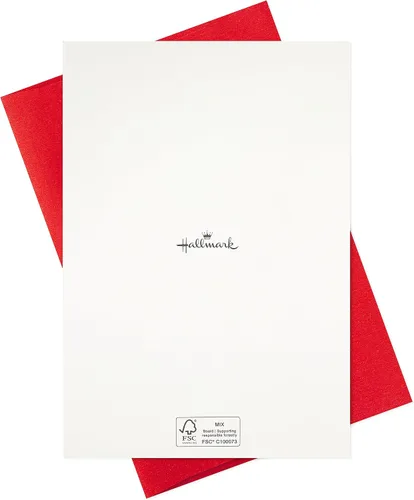 Vista 8 de Hallmark - Tarjetas de Navidad hechas a mano en caja (12 tarjetas con sobres) Chimenea, Hogar Feliz