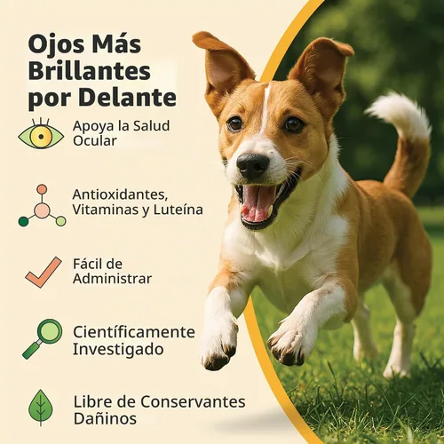 Vista 4 de Ocu-GLO® Cápsulas veganas – Suplemento de visión para perros y gatos maduros – Formulado con luteína, ácidos grasos omega-3 a base de algas