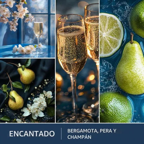Vista 2 de Scentsationals Encantada, cera perfumada de bergamota para derretir 10 onzas (24 cubos)