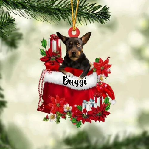 Vista 107 de Perro Akita Inu personalizado en bolsa de regalo, adorno de Navidad, nombre personalizado, regalo para amantes de los perros, familia, Navidad