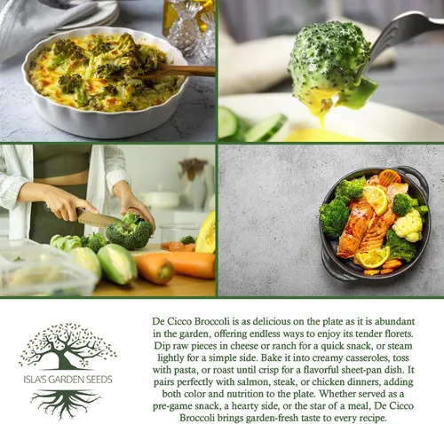 Vista 6 de De Cicco - Semillas de brócoli (Brassica oleracea), más de 300 semillas sin OMG y reliquias de Isla's Garden Seeds, reliquia italiana para cosechas