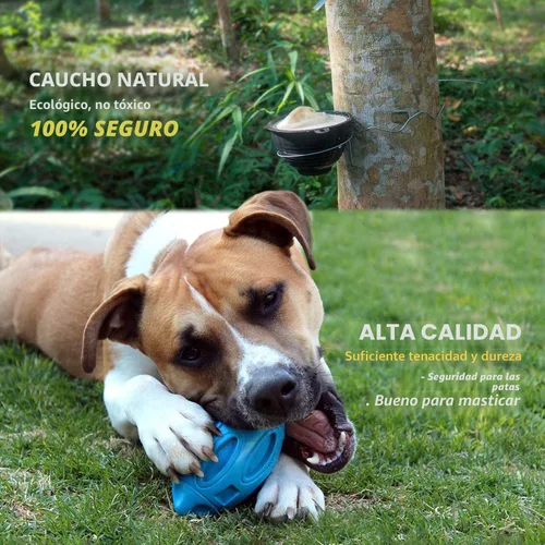 Vista 4 de EASTBLUE Juguetes para perros con sonido para masticadores agresivos: Bola de goma para cachorros con chirriador, juguete para mascotas casi