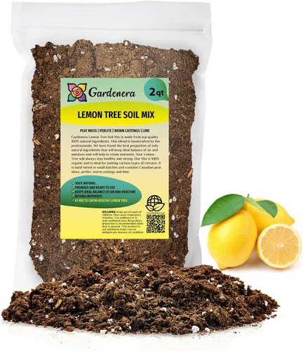 Vista 7 de La mejor mezcla de suelo para árboles de limón cítricos perfectamente picantes - Descubre la revolucionaria mezcla para macetas de limones