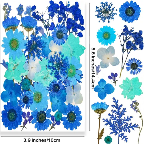Vista 2 de 14 Tipos 37 piezas Flores Azules Secas Prensadas para Moldes de Resina, YouthBro Flores Secas Naturales Prensadas para Manualidades de Arte DIY