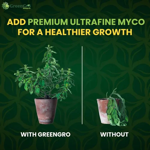 Vista 5 de GreenGro Premium Ultrafine Myco - Inoculante micorrícico y potenciador de raíces soluble en agua de cepas superiores, mejora la absorción