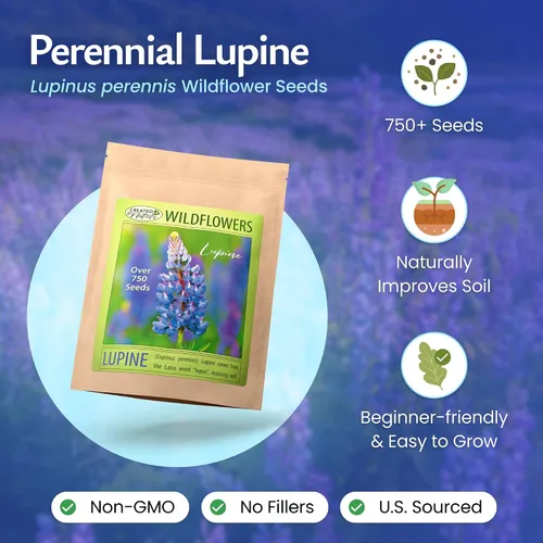Vista 2 de Created by Nature Blue Lupine Seeds, 750 semillas de flores silvestres perennes