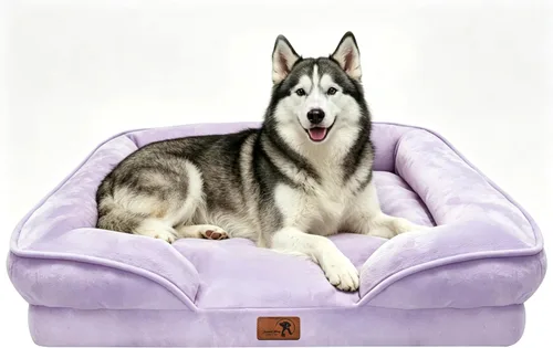 Vista 68 de Spotted Play Cama ortopédica para perros con lados, sofá cama para perros pequeños, sofá cama de espuma de apoyo para mascotas con funda extraíble