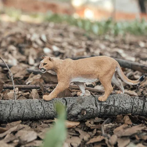 Vista 2 de Safari Ltd. Figura de león de montaña, figura realista de plástico de 5.5 pulgadas, juguete educativo para niños, niñas y niños a partir de 3 años