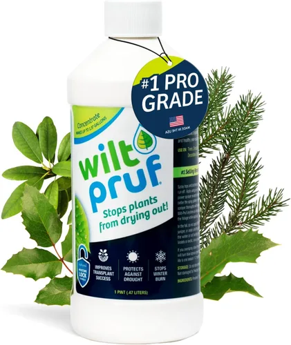 Vista 12 de Wilt-Pruf® Concentrado Protege contra daños en invierno, sequías y estrés Simplemente rocía y deja secar Bloquea la humedad con película