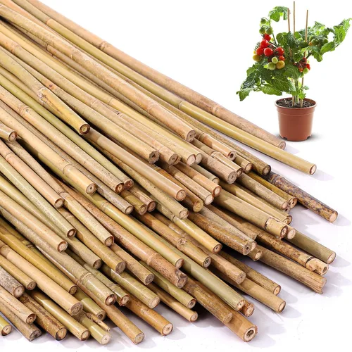 Vista 9 de Suclain Juego de 30 estacas de bambú para plantas trepadoras, estacas de bambú resistentes para tomates, frijoles, flores y plantas en maceta