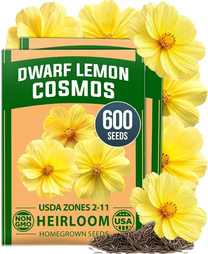 Vista 20 de HOME GROWN - Semillas de zinnia rosadas – 600 Zinnias Luminosa de 0.02 oz, semillas de flores anuales fáciles de cultivar para plantar al aire libre