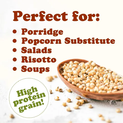 Vista 5 de Food to Live Sorgo orgánico italiano de grano entero blanco, 1 libra, granos blancos sin transgénicos. Semillas milo crudas. Vegano, maíz de escoba