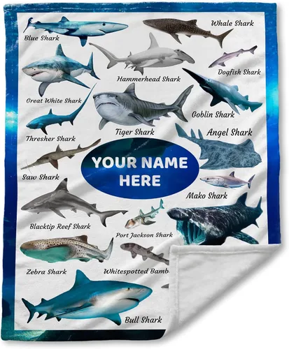 Vista 20 de Manta de avión con nombre personalizado, regalo de avión para niños, manta de avión con nombre personalizado para bebés, manta de franela suave