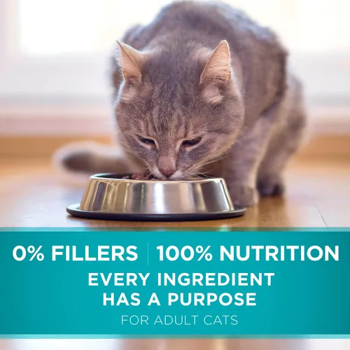 Vista 8 de Purina ONE Alimento seco natural para gatos mezcla tierna con pollo real bolsa de 16 libras