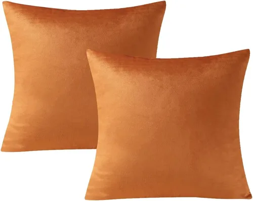 Vista 14 de VAKADO Juego de 2 fundas de almohada de terciopelo beige crema de 16 x 16 pulgadas, fundas de cojín cuadradas suaves y sólidas, decoración del hogar