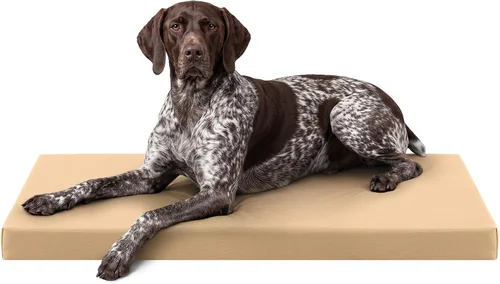 Vista 10 de K9 Ballistics Cama ortopédica Ripstop resistente – Almohadilla duradera para perrera con funda lavable para perros grandes, 41 x 27 pulgadas se azul