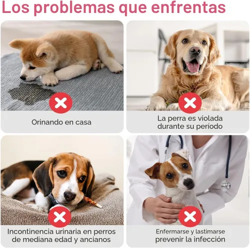 Vista 6 de Pañales desechables para perras, pañales absorbentes para perros, XXS, 40 unidades Pañales de cintura elástica ajustable para el calor, pañales a