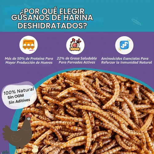 Vista 2 de 2LB Dried Mealworms for Chickens - 52% Protein for Growth