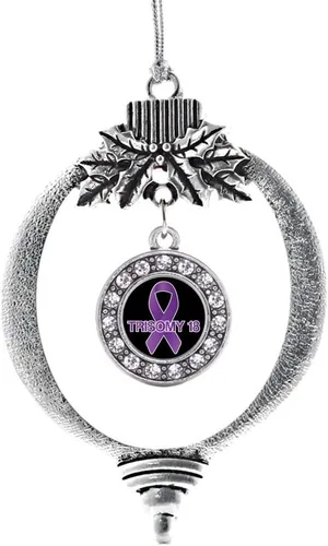 Vista 56 de Inspired Silver - Adorno con dije de cara de carlino - Adornos navideños de círculo de plata con joyas de circonita cúbica