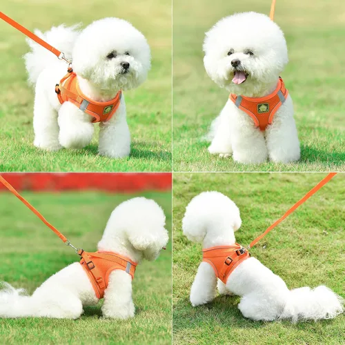 Vista 22 de Juego de arnés y correa para perros pequeños, arnés reflectante ajustable sin tirones, arnés transpirable suave para cachorros y perros pequeños