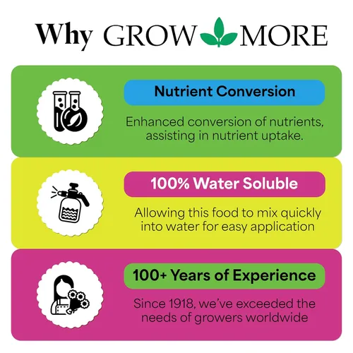 Vista 5 de Grow More Sea Grow Kelp Fertilizante – 1.5 libras de 16-16-16 – 16 – Alimento vegetal soluble en agua, multiusos, rico en nutrientes, fertilizante