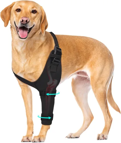 Vista 9 de Protector de codo para perro, mangas para patas de perro antilamidas para higroma, callos y alivio de la artritis, almohadillas ajustables