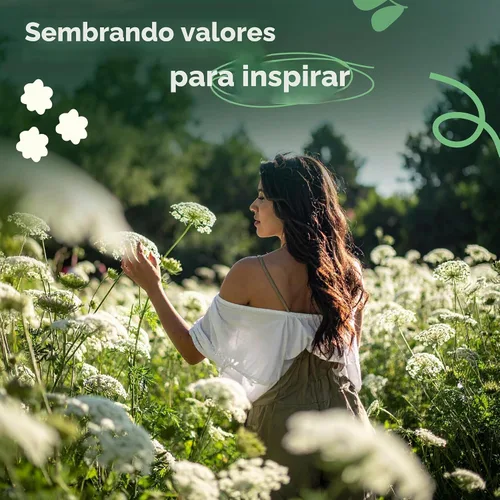 Vista 8 de Queen Anne 's Lace- 200 semillas – 50% de descuento venta