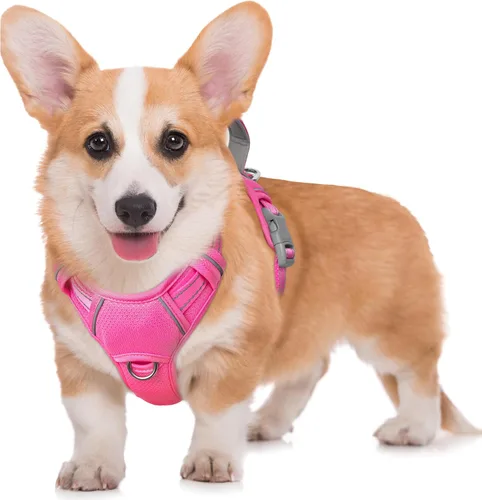 Vista 79 de BARKBAY Arnés para Perro Sin Tirones Talla Grande Arnés Reflectante para Perro con Clip Frontal y Asa de Control Fácil para Caminar Entrenar Correr