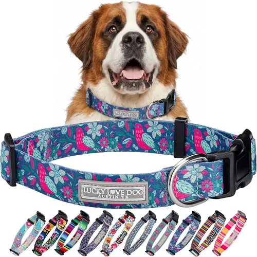 Vista 69 de Lucky Love Dog - Collar para perras pequeñas, diseño Blackbird de estampado alegre con flores de primavera y verano, talla XS Collar Blackbird