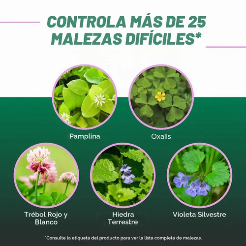 Vista 4 de Ortho Concentrado de pamplina, trébol y oxalis para césped, 16 onzas