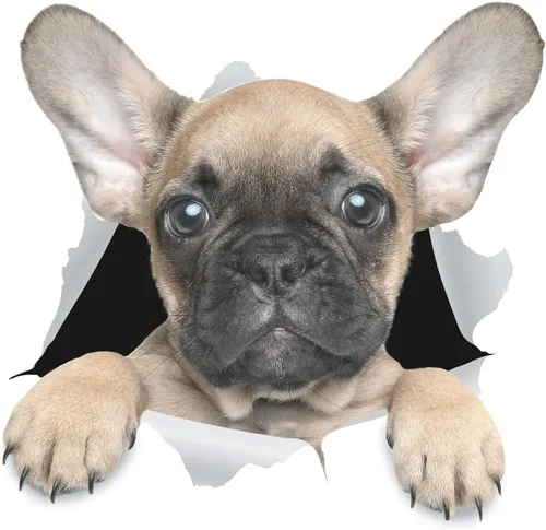 Vista 7 de Winston & Bear Calcomanías 3D para perros, paquete de 2 unidades, calcomanías de bulldog francés blanco y negro para pared, nevera, inodoro y más