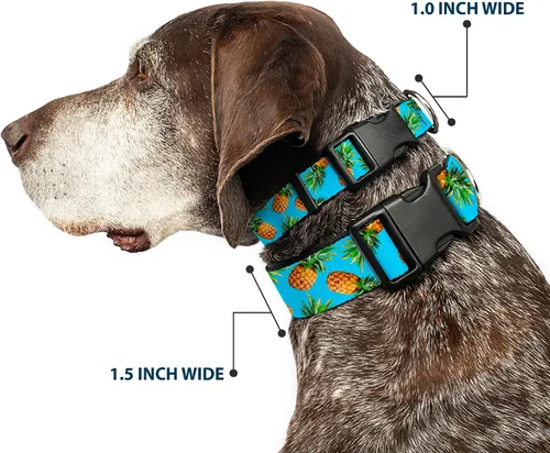 Vista 2 de Buckle-Down PC-W32226-S - Collar de clip de plástico, piñas, 1.0 in de ancho (9 a 15 pulgadas) para cuello pequeño