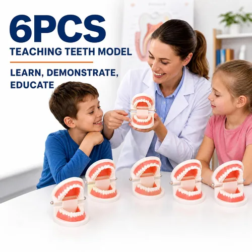 Vista 8 de ZENFUN Paquete de 6 modelos de dientes dentales, modelo de demostración dental para estudio, modelos de dientes estándar, modelo de boca
