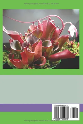 Vista 2 de PLANTAS CARNÍVORAS GUÍA DE CULTIVO (Spanish Edition)