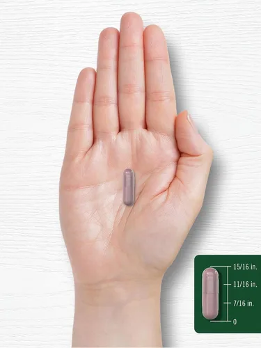 Vista 7 de Suplemento de arándano Carlyle 90 cápsulas Fórmula sin OMG y sin gluten Pastillas de arándano a partir de extracto concentrado