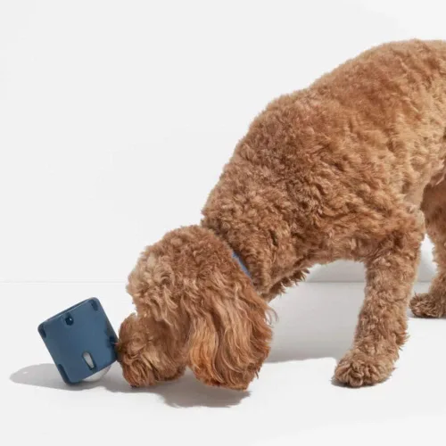 Vista 3 de Juguete interactivo para masticar para perros pequeños, limpieza de dientes, juguete de rompecabezas de tenis para perros, juguete de copa de tenis