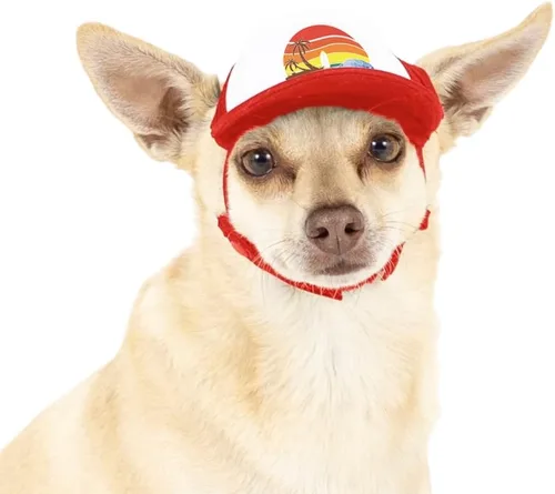 Vista 42 de Sunset Collection, sombreros de camionero de PupLid para perros (XXS) Protección solar elegante de alta calidad para el perro moderno, ajustable