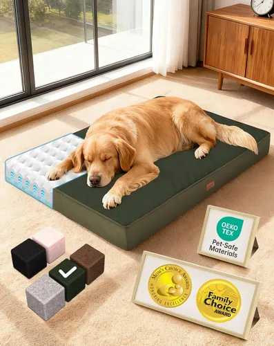 Vista 15 de OhGeni Cama ortopédica para perros pequeños, espuma viscoelástica 01-gris