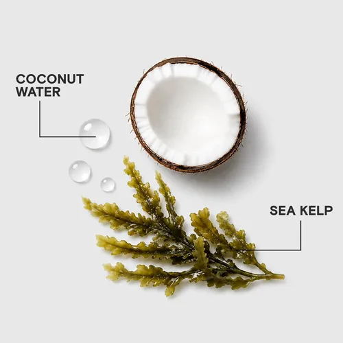 Vista 5 de Joico HydraSplash Hydrating Shampoo For Fine, Medium, Dry Hair Replenish Moisture Add Hydration & Softness With Sea Kelp & Coconut Water