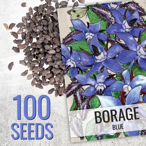 Vista 2 de Seed Needs - Paquete variado de semillas de borraja, 2 unidades, sin OMG y hierbas tradicionales