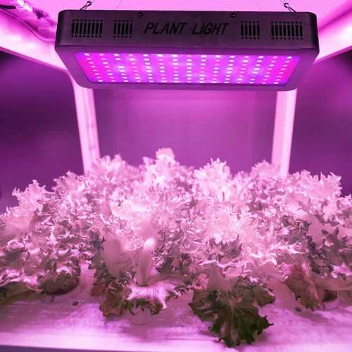 Vista 7 de iPower Luz LED de crecimiento de espectro completo para plantas de invernadero hidropónico de interior, verduras y flores, 230 W reales