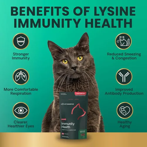 Vista 4 de VetriScience Gomitas de Lisina para la Salud de la Inmunidad, 250 mg de Lisina Plus Suplemento Inmunológico para Gatos y Gatito con Alergias