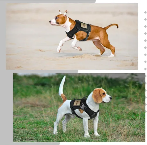 Vista 3 de Arnés táctico para perro, chaleco militar Molle para perro K9, chaleco para entrenamiento al aire libre, resistente al desgaste, arnés para perro