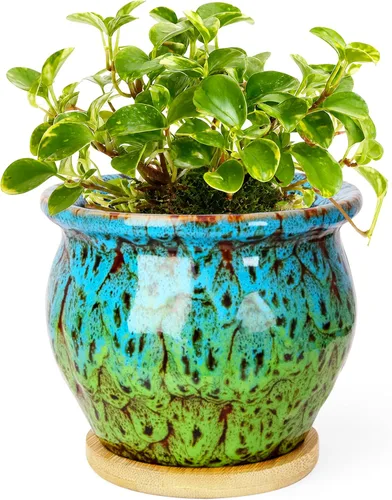Vista 9 de ARTKETTY Macetas de 4.5 pulgadas con drenaje, pequeñas macetas de cerámica para plantas de interior Rojo
